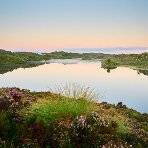 Smågevatnet - Morgenlys