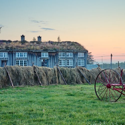 Løvika Morgen